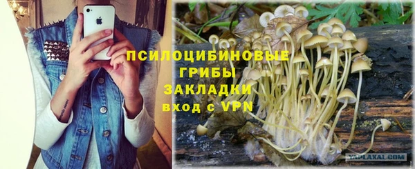 mdpv Лагань