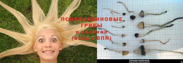 марихуана Ладушкин